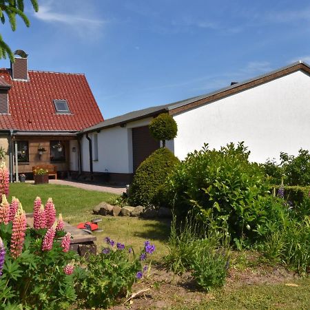 Apartment In Robertsdorf With Garden, Terrace, Barbecue Blowatz 部屋 写真